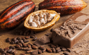 O cacau e a parceria estratégica entre Vogler e Machu Picchu