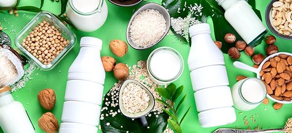 Laticínios veganos