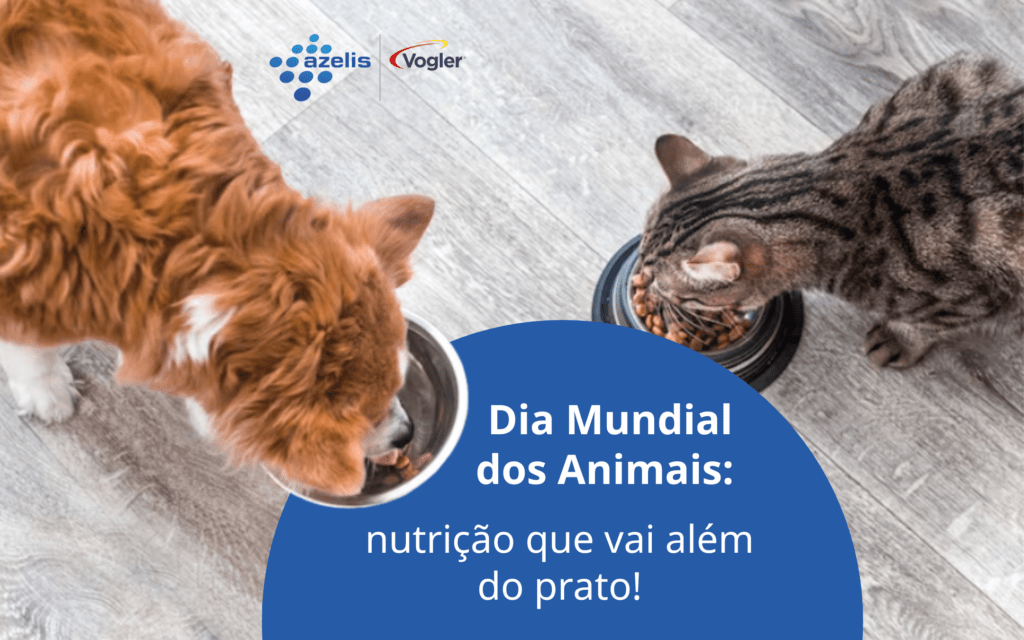Dia Mundial dos Animais: nutrição que vai além do prato